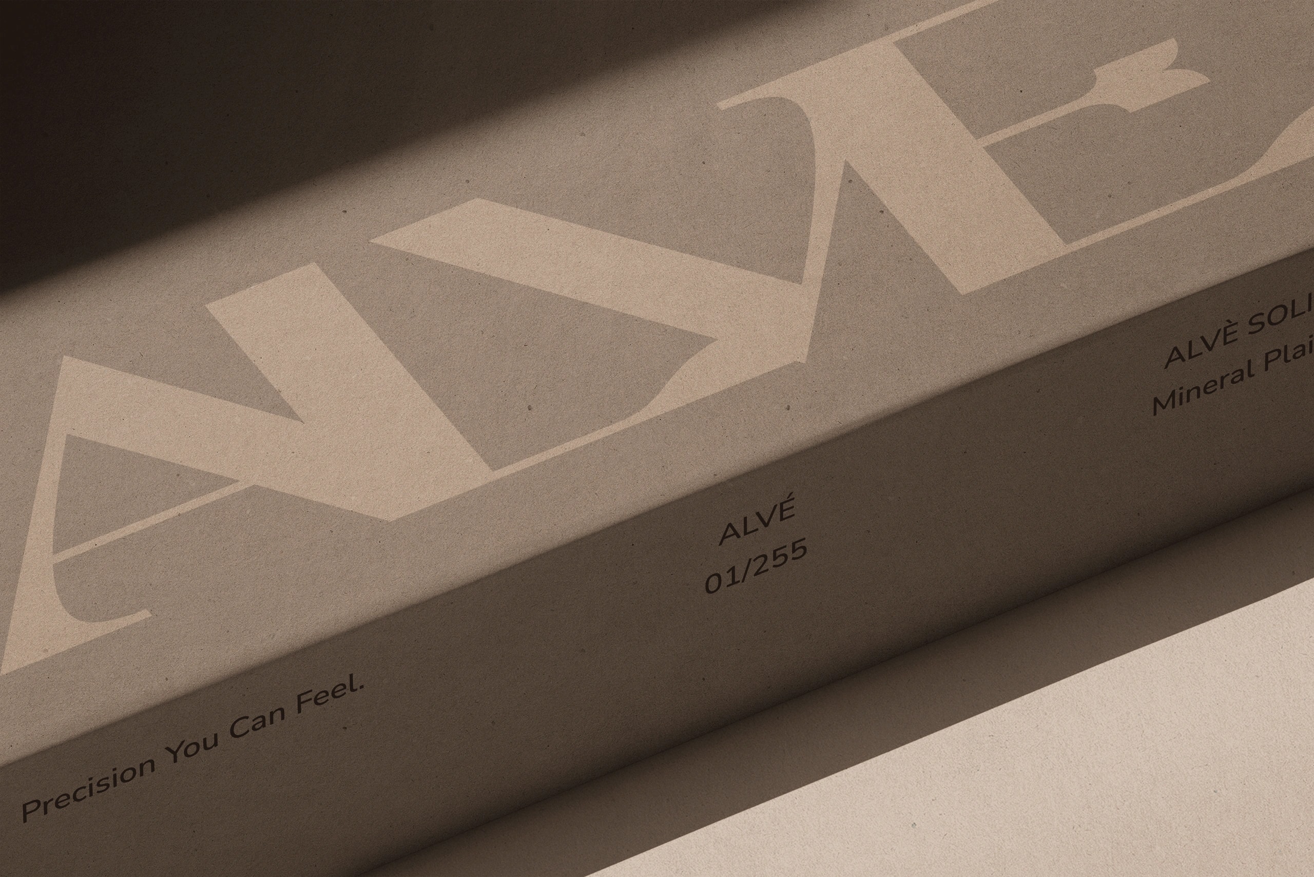 Edle ALVE Verpackung aus Karton mit Logo und Claim, Beispiel für Branding und Verpackungsdesign